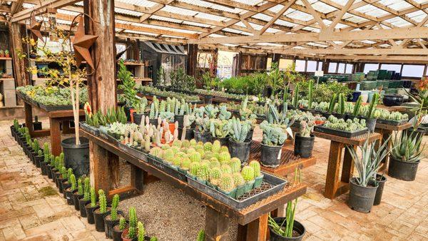 Desert Foothills Gardens Nursery Inc.