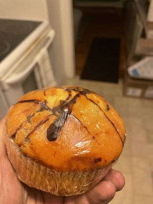 Chocolate chip drizzle muffin