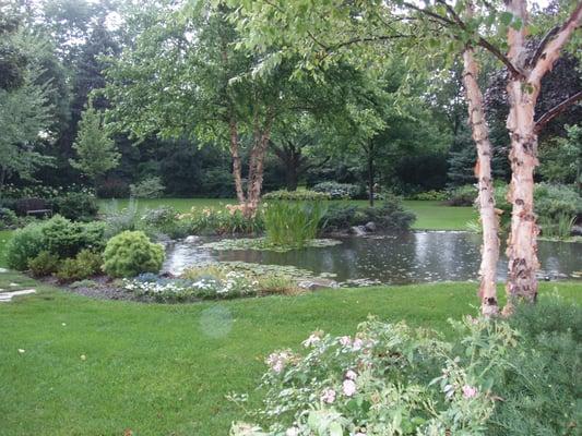 The other half of the pond with the large waterfall and evergreen trees.