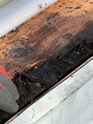 More roof rot