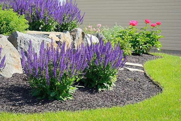 Butterfly & Rain Gardens - Extrodinary Landscape Accents