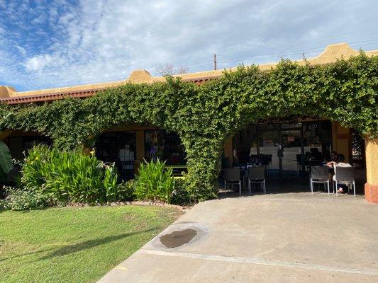 Vine covered patio