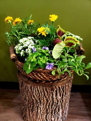 Custom Plants basket