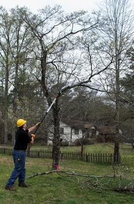 I use a pole saw to weight the tree to fall in a favorable direction. It's also great to clear room for a rope.