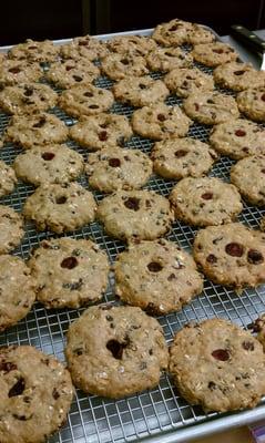 Gluten Free oatmeal with cranberries and currants and sunflower seed butter