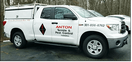 Anton Termite & Pest Control Inspection