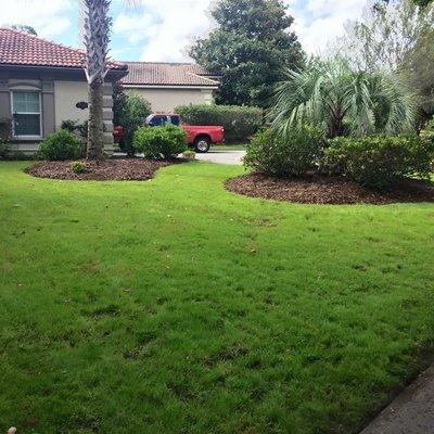 Grand Dunes Landscape and Maintenance in Myrtle Beach, South Carolina. Just before we cut the lawn.