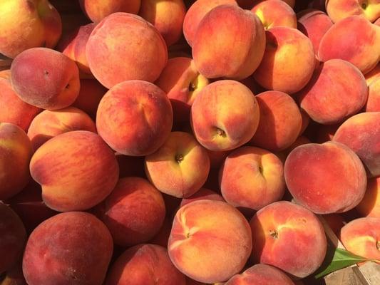 Amazing peaches by McCleaf's !