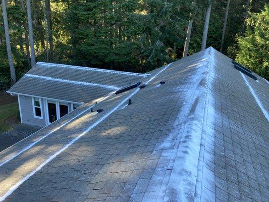 Perfect View Roof Cleaning & Care