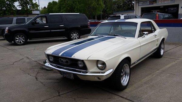 Restored By, Mustang Magic 1967 Mustang Coupe white medium blue stripes with parchment interior