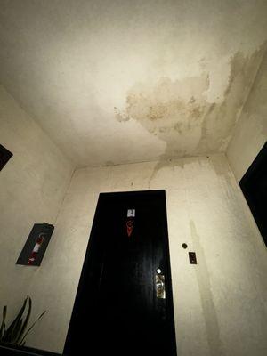 Water damage and mold that ended up getting painted over