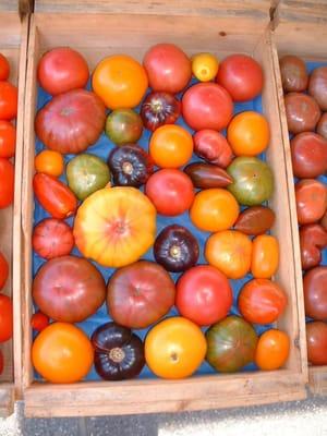 St Johnsbury Farmer's Market