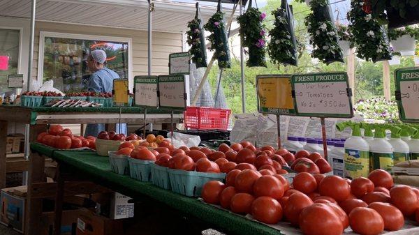 Fruits and Vegetables