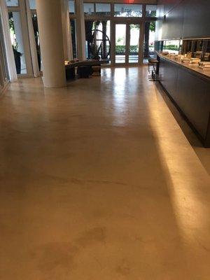 Polished Concrete