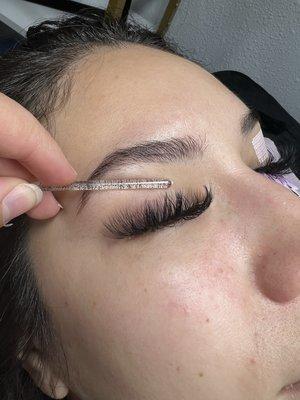 Volume lash fill