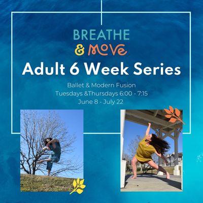 Adult 6 Week Series