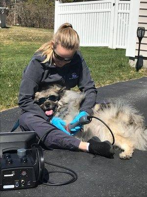 Amber doing laser on Shaggy :)