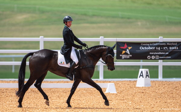 Tim Bourke and Quality Time on Cross Country at the Maryland 5 Star August 2020 Test Event. Photo by Amy Dragoo.