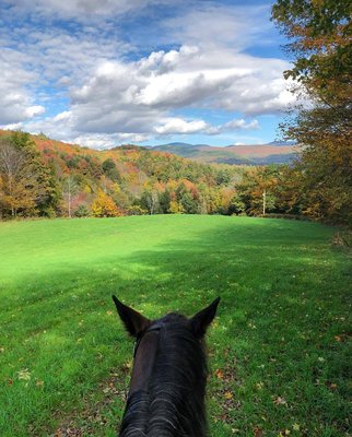 Trailriding in our 400+ acre backyard.