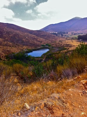 View from a little bit past the top of the Walking Trail