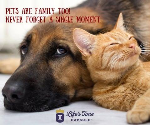 Pets are family too!