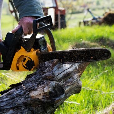 Tree Cutting