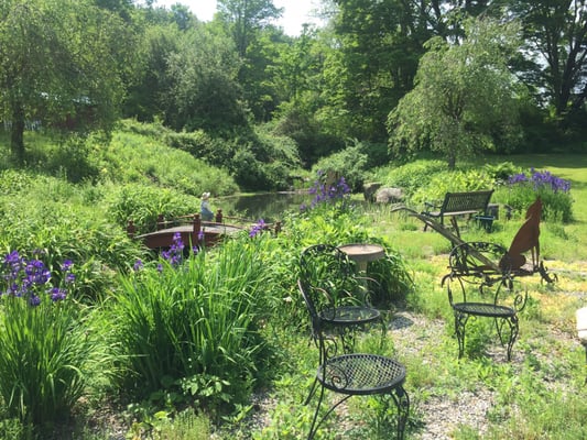 Lovely little pond garden