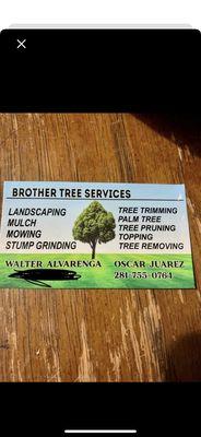 Brother Tree Services