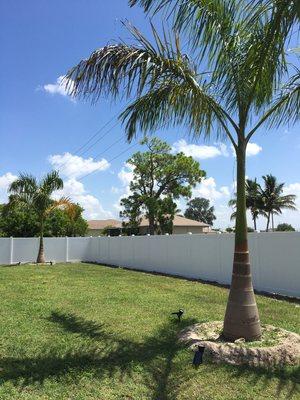 We specialize in fence cleaning!