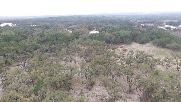 Cleared ~5 acres of 8 acres of cedar to allow oaks to have more water and thrive.