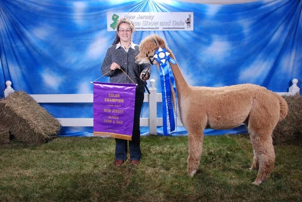 Alma Park Alpacas