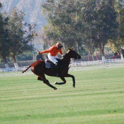 One of our instructors at a full gallop during a polo match!!