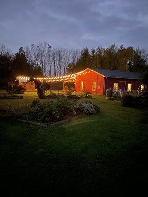 Sunset at Bloomfield Meadows Berry farm