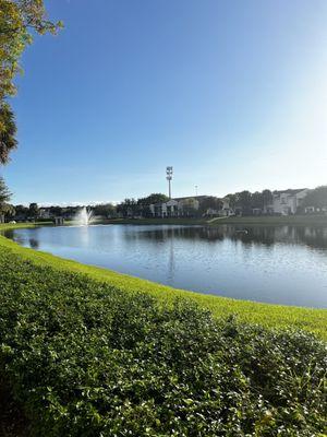 Pond view