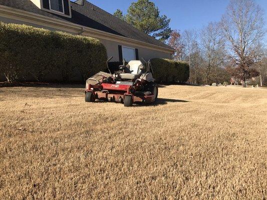 Even though our turf is dormant we are still keep the yards clean!