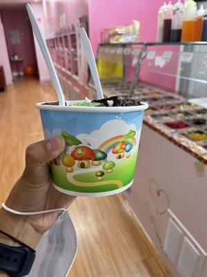 Large Frozen Yogurt (13 oz)