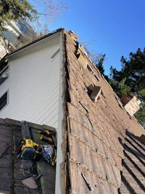 Sealing rake tiles for bats.