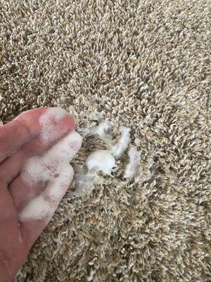 Soap left in carpet.