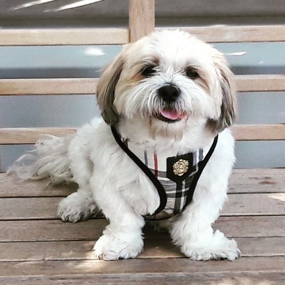 Baby Boy Loves visiting the Barkery.