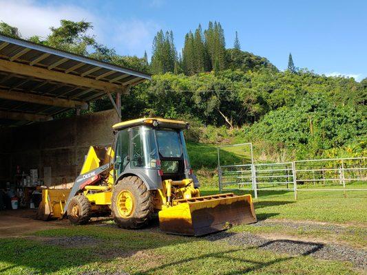 Maunawili Farm