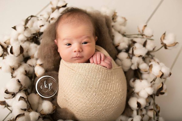 rustic newborn photography in Madison CT photography studio