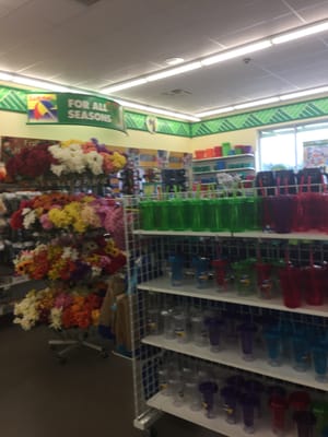 Dollar Tree of Taunton -- Northwoods Crossing : 2101 Bay Street, Taunton                    Interior