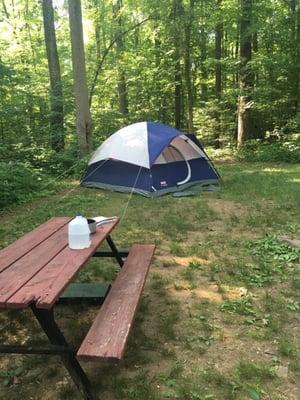 Grassy tent site