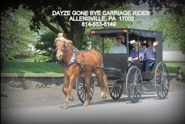 Dayze Gone Bye Carriage Rides