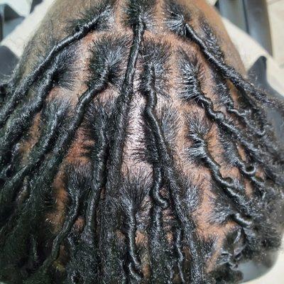 Adult loc retwist