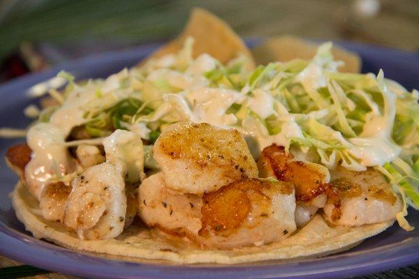 The Best Fish Tacos