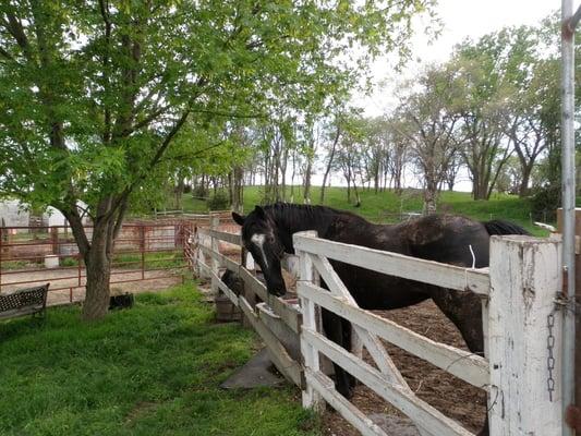 Cinny loves to get new clothes and toys from The Paddock!