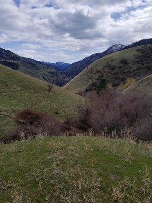 20 + acres overlooking the Little Salmon Rv. and the Salmon River canyon. $119,000. You own access to the Forest  Service gate