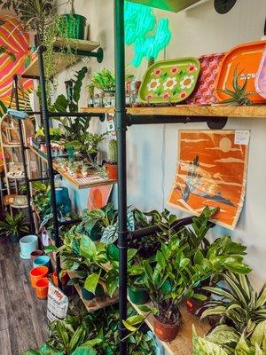 Plant shop