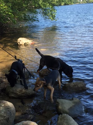 Nature walks at daycare